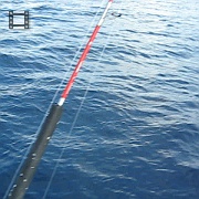 Picture 044
